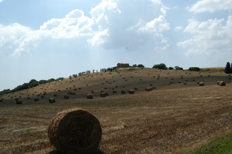 BIBBONA CAMPAGNA